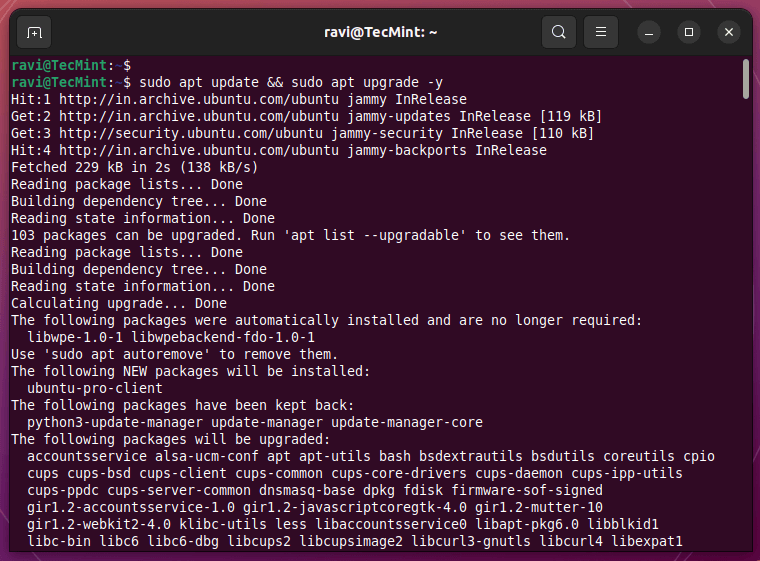 Upgrade Ubuntu Packages