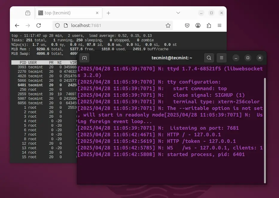 Run Linux Application in Web Browser