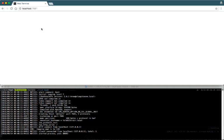 ttyd: Share Your Linux Terminal on the Web Securely