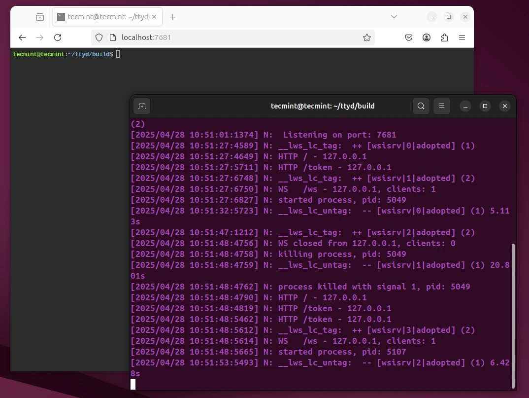 Interactive Shell Access Through Your Web Browser
