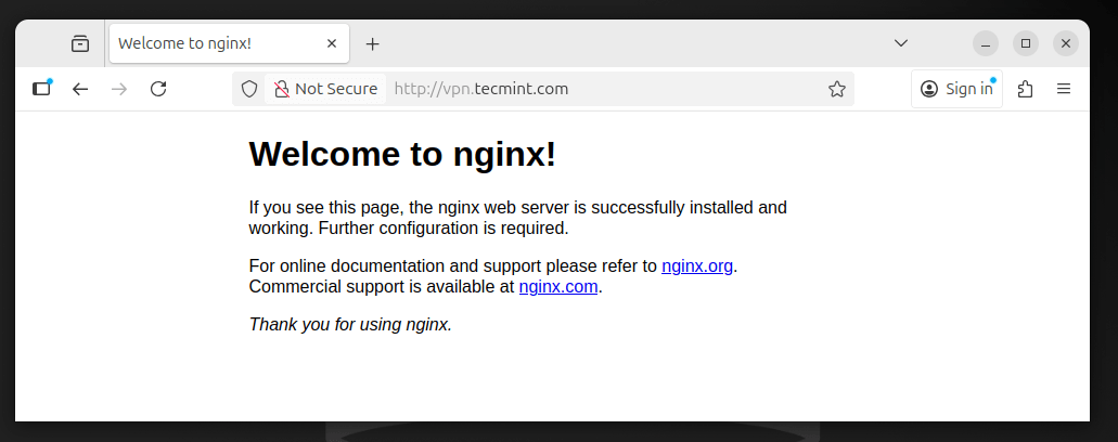 Check Nginx Page