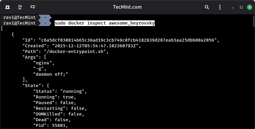 Viewing Docker Container Configuration