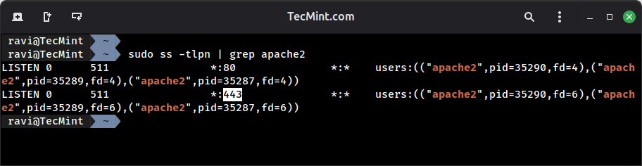 Enable HTTPS in Apache