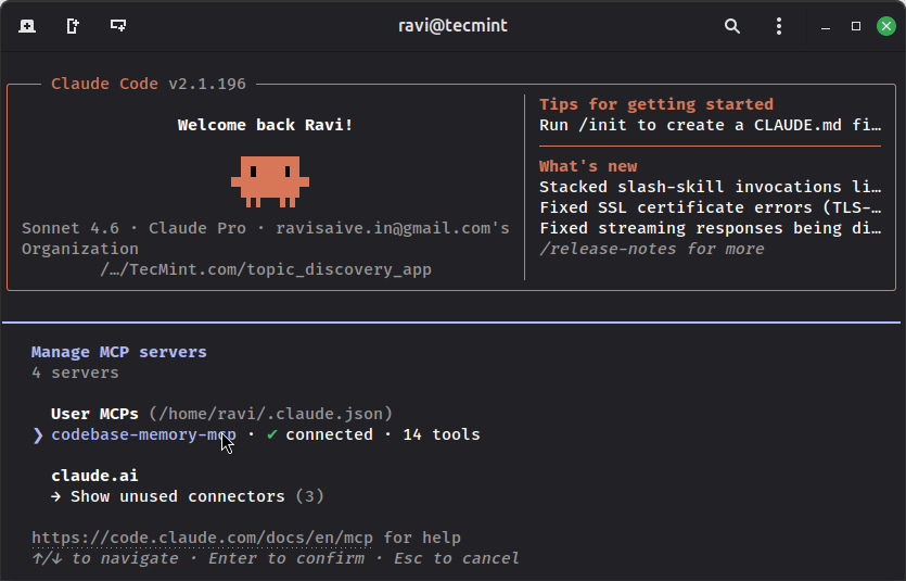 Confirm Your MCP Server Is Connected